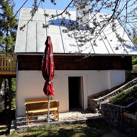 Chata v moravského krasu Jedovnice Exterior foto